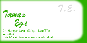 tamas egi business card